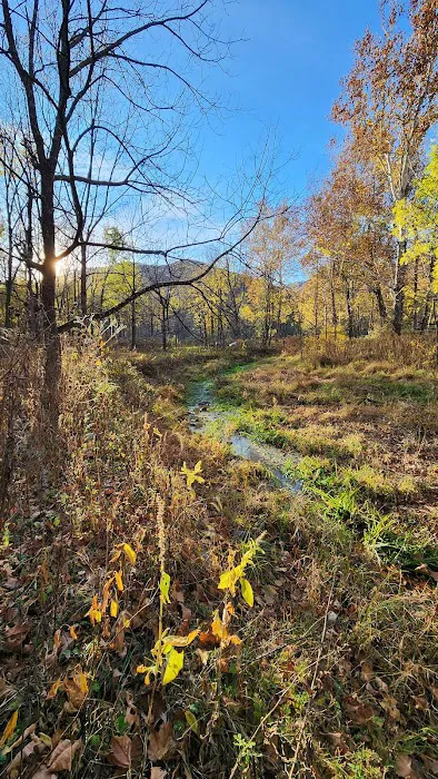 The Trout Camp aka Fontinalis Farms and Campground LLC. Picture 5