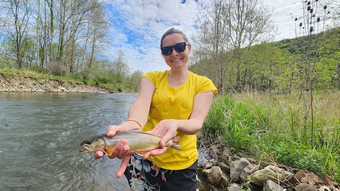 The Trout Camp aka Fontinalis Farms and Campground LLC. Picture 6