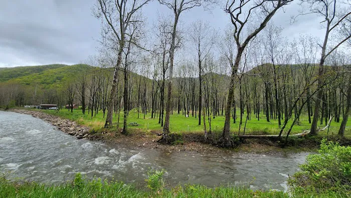 The Trout Camp aka Fontinalis Farms and Campground LLC. Picture 2