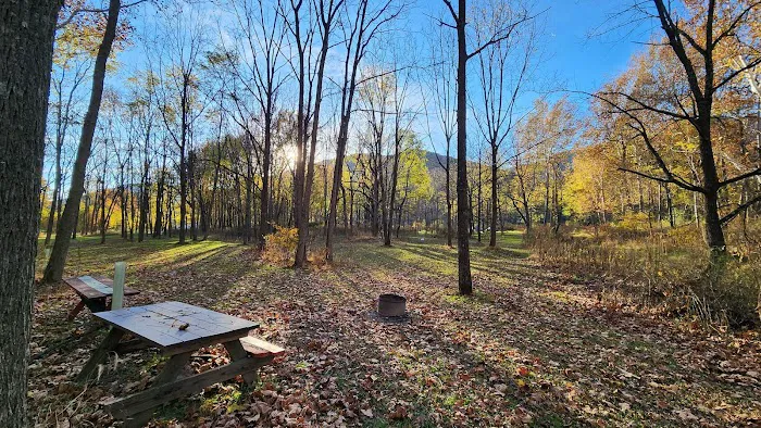 The Trout Camp aka Fontinalis Farms and Campground LLC. Picture 7