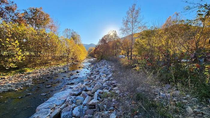 The Trout Camp aka Fontinalis Farms and Campground LLC. Picture 10