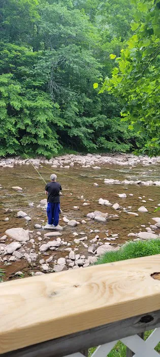 BLUESKY CAMPGROUND AT LITTLE TORY LLC Picture 1