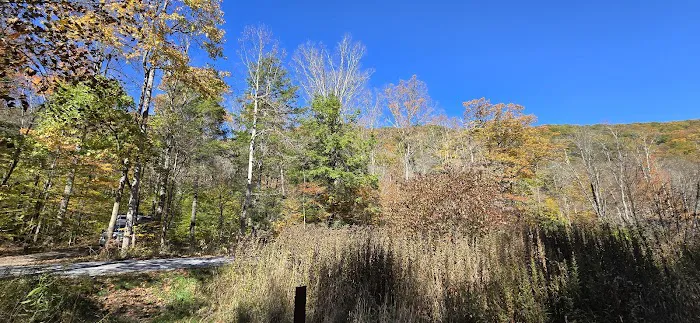 Lower Glady Dispersed Campground Picture 8