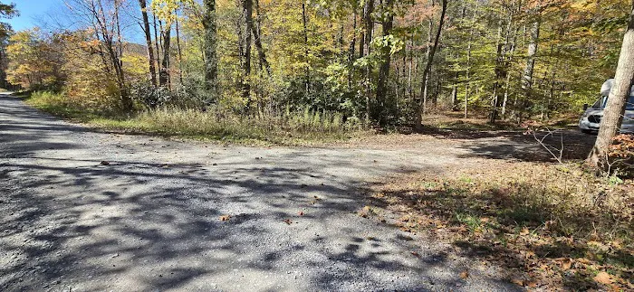 Lower Glady Dispersed Campground Picture 4