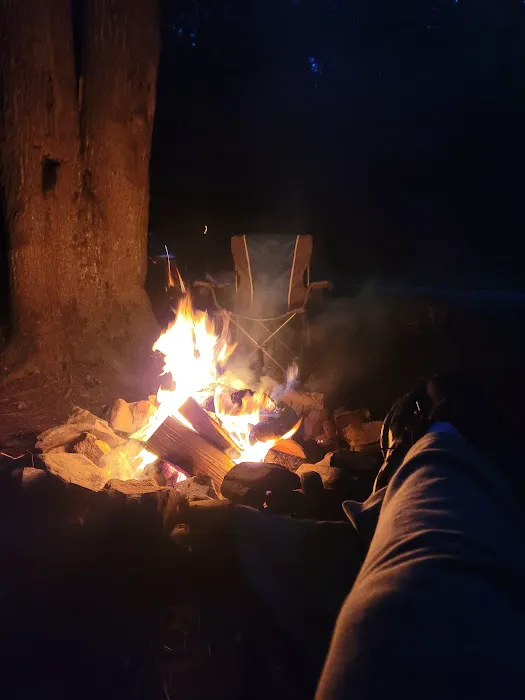 Lower Glady Dispersed Campground Picture 7