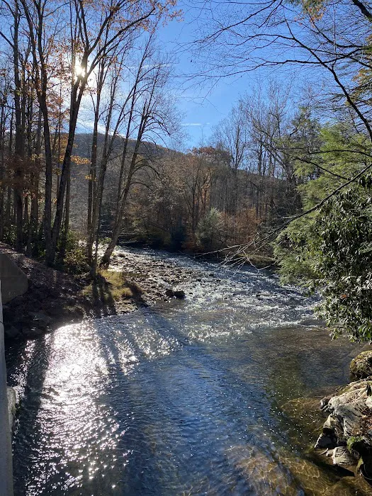 Lower Glady Dispersed Campground Picture 2