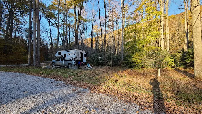 Lower Glady Dispersed Campground Picture 6