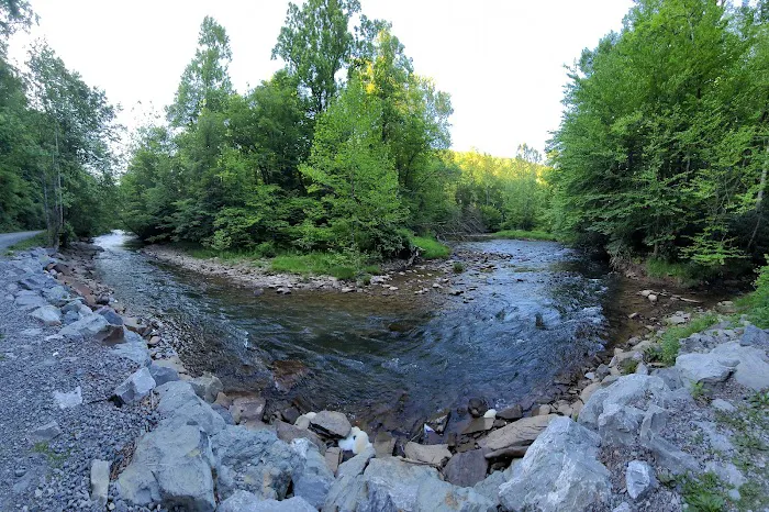 Lower Glady Dispersed Campground Picture 5