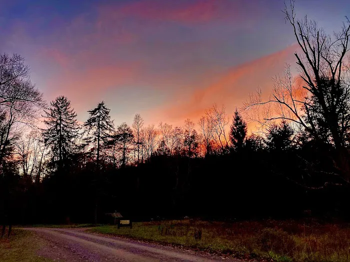 Lower Glady Dispersed Campground Picture 10