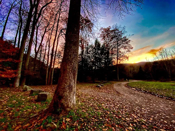 Lower Glady Dispersed Campground Picture 3