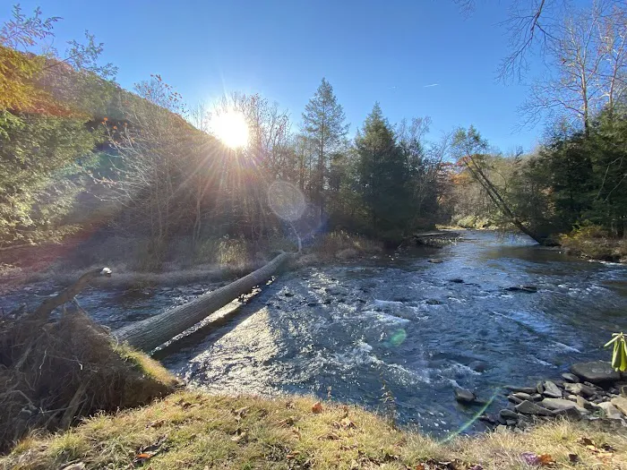 Lower Glady Dispersed Campground Picture 1
