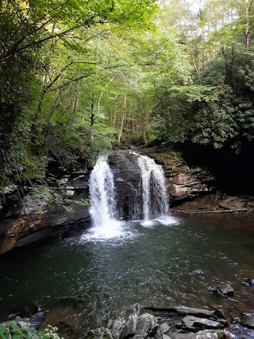 Judy Springs Campground Picture 8