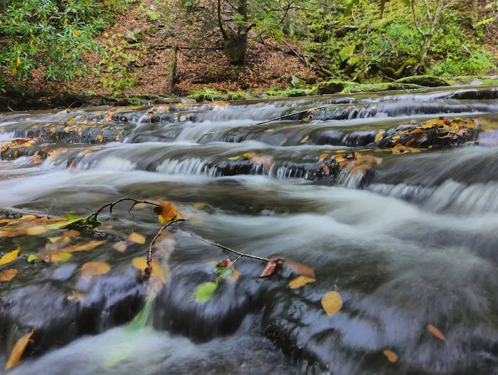 Judy Springs Campground Picture 6