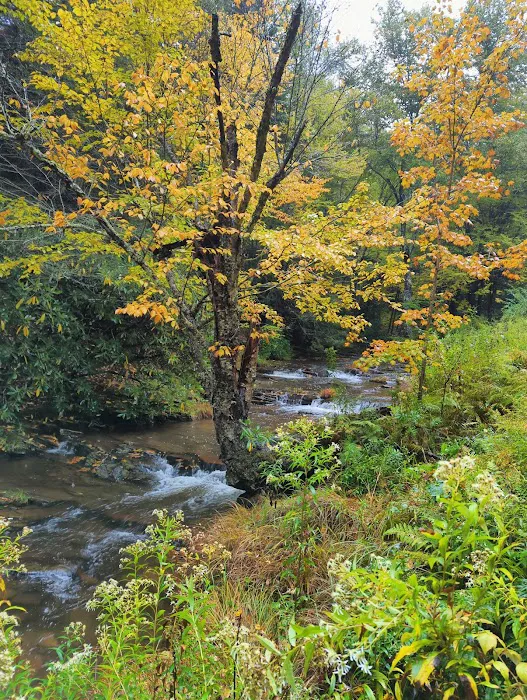 Judy Springs Campground Picture 10