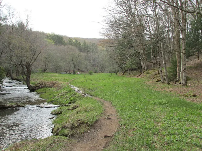 Judy Springs Campground Picture 9