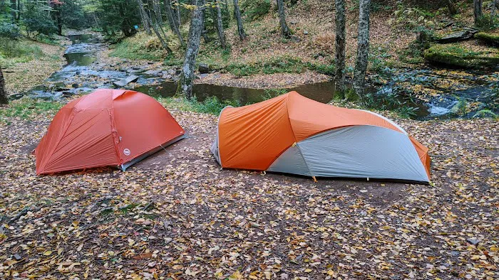 Judy Springs Campground Picture 7