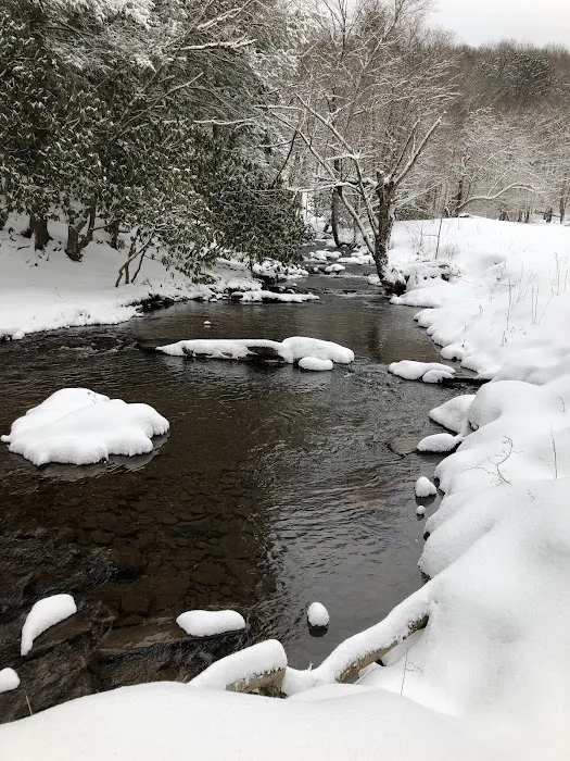 Judy Springs Campground Picture 1