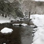 Judy Springs Campground
