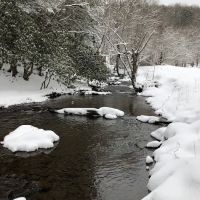 Judy Springs Campground ico