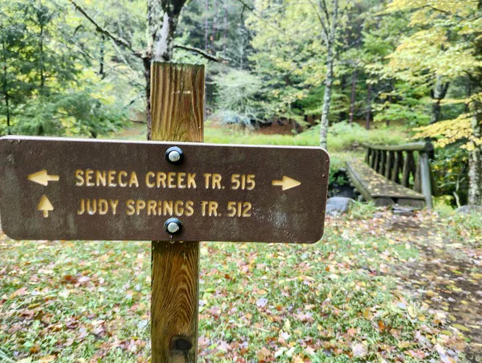 Judy Springs Campground Picture 4