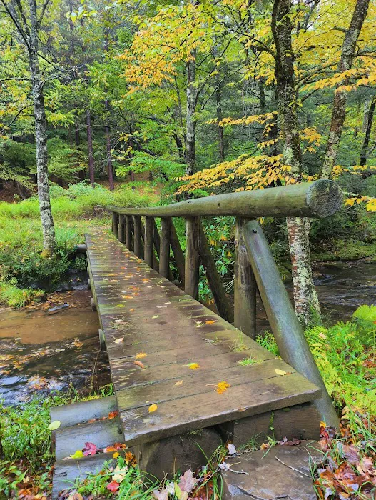 Judy Springs Campground Picture 3