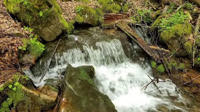 Judy Springs Campground Picture 5