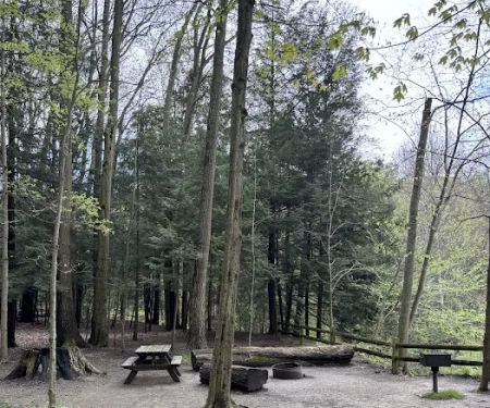 Gridled road reservation campsite