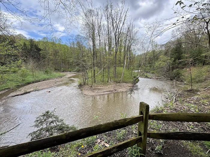 Gridled road reservation campsite Picture 2