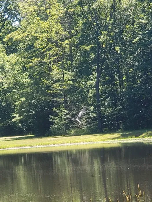 PINE LAKES CAMPGROUND Picture 10