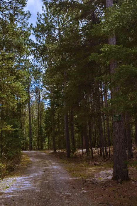 Indian Pond Campground Picture 3