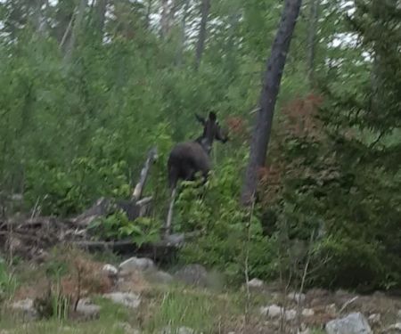 Outsiders Rustic ATV Campground