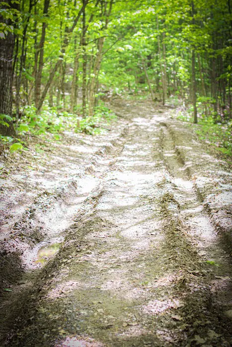 Skowhegan / Kennebec Valley KOA Journey Picture 10