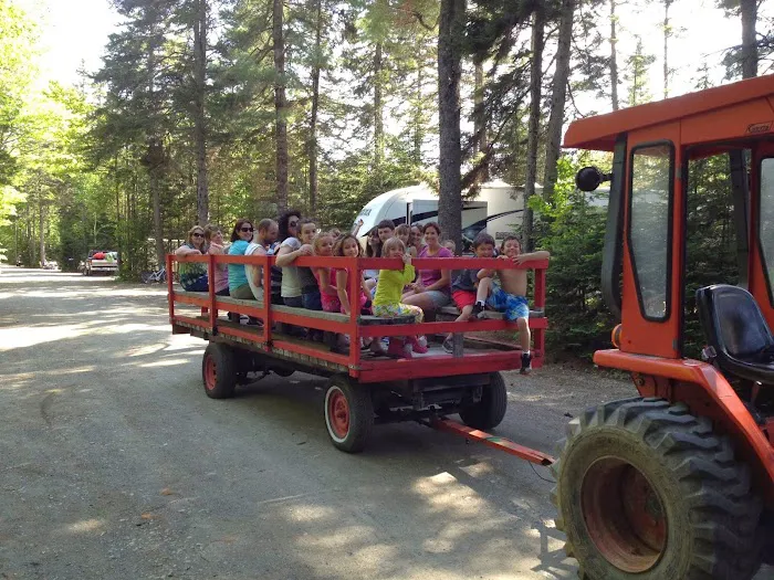 Spacious Skies Campgrounds - Balsam Woods Picture 10
