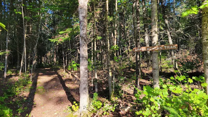 100 Mile Wilderness Adventures Picture 5