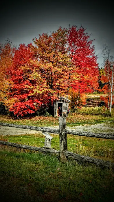 Long Pond Camp & Guide Services Picture 6