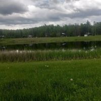 John's Four Seasons ico