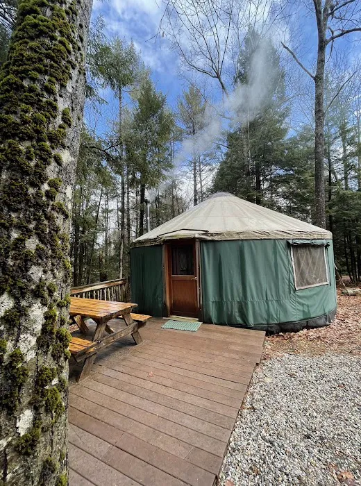Maine Forest Yurts Picture 8