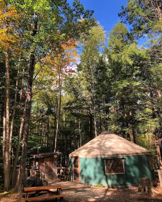 Maine Forest Yurts Picture 5