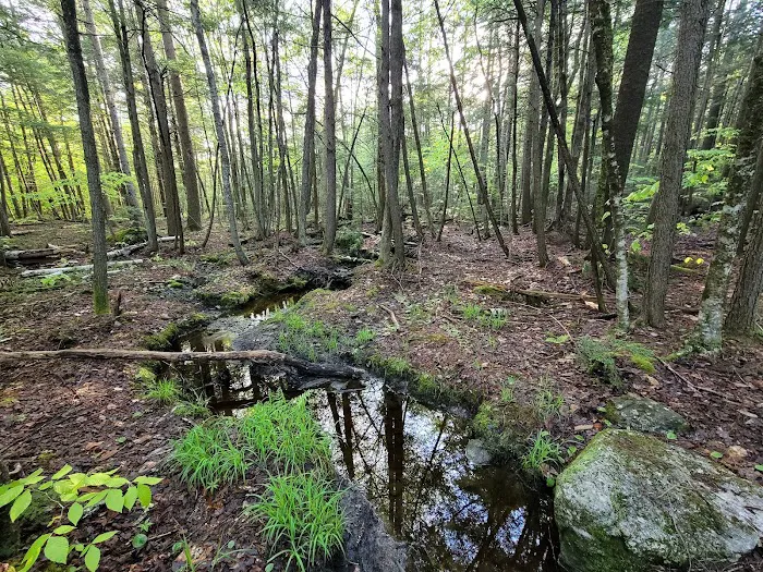 Bradbury Mountain State Park Campground Picture 7