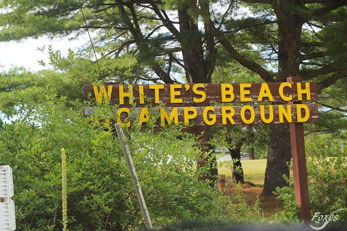 White's Beach & Campground, Inc. Picture 4