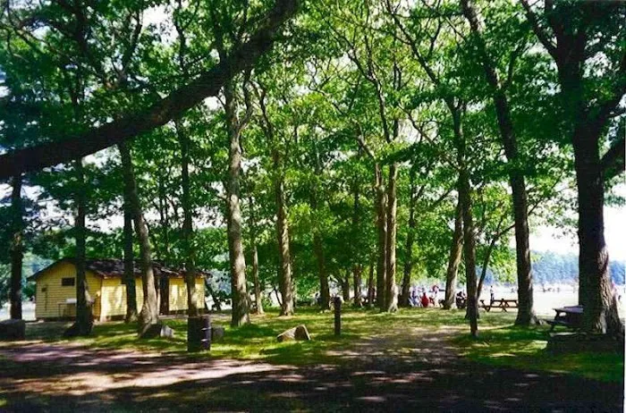 Thomas Point Beach & Campground Picture 5