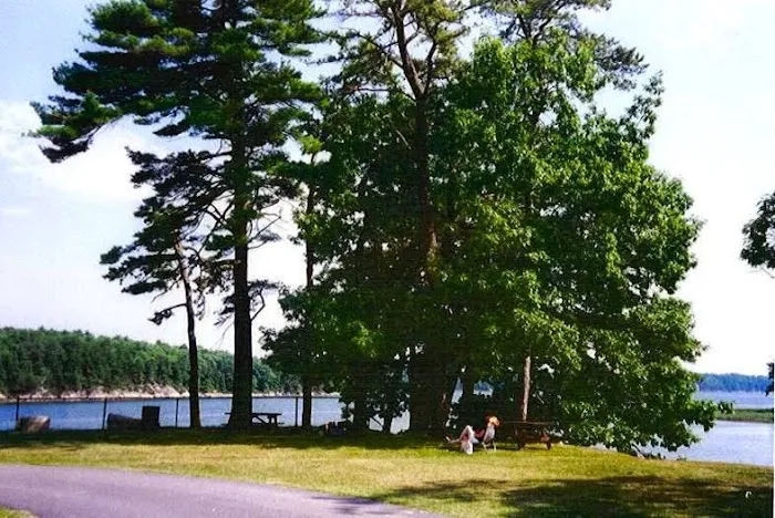 Thomas Point Beach & Campground Picture 8