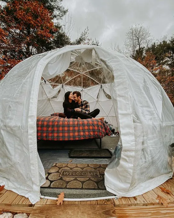 ComfyDome Picture 10