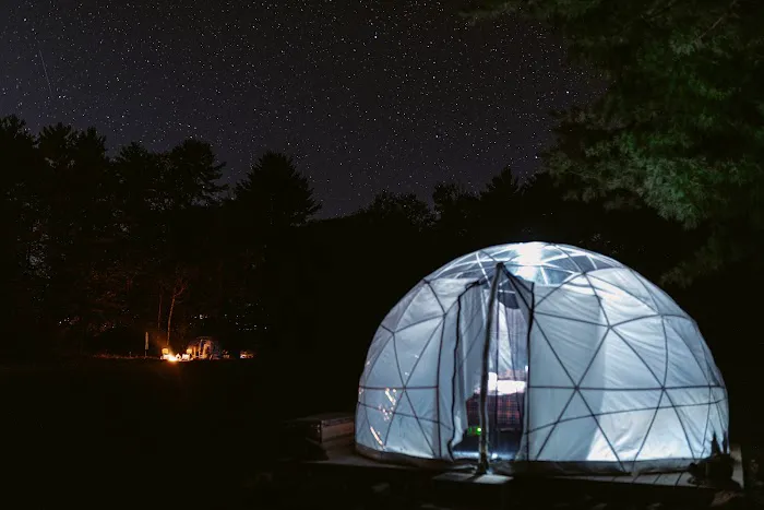 ComfyDome Picture 1