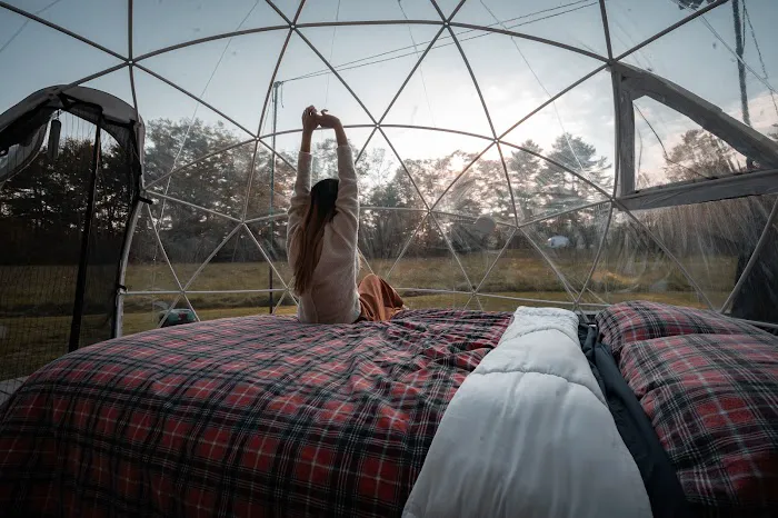 ComfyDome Picture 2