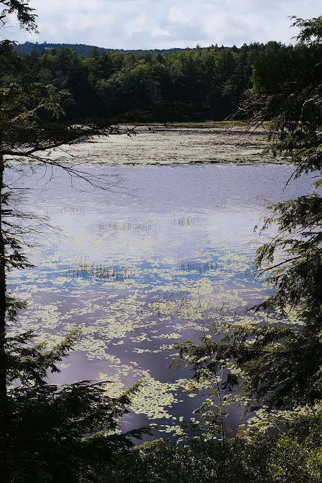 Cedar Island Picture 2