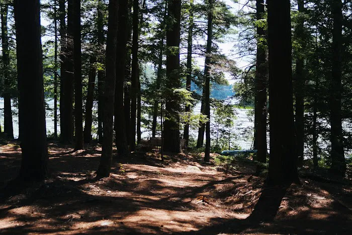 Cedar Island Picture 1