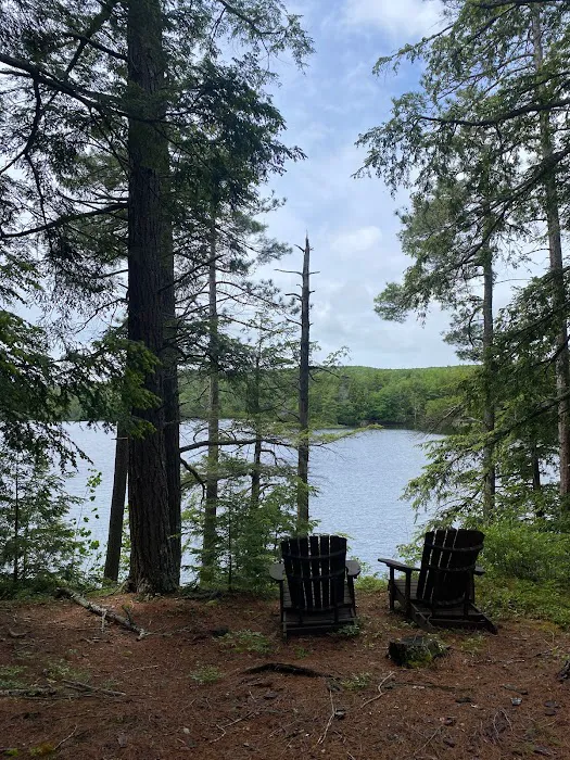 Cedar Island Picture 3