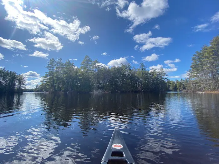 Cedar Island Picture 5