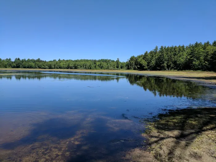 Camp Neofa Picture 4